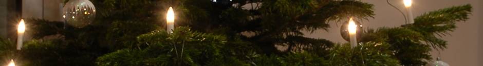 Ausschnitt von eienm Weihnachtsbaum mit Lichter und Kugel